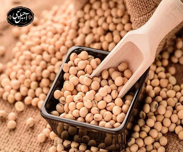 فواید سویا برای لاغری