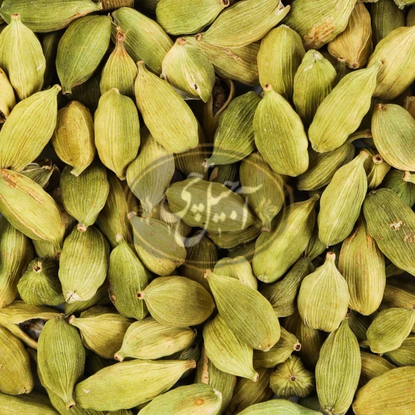 هل اکبر بنفش