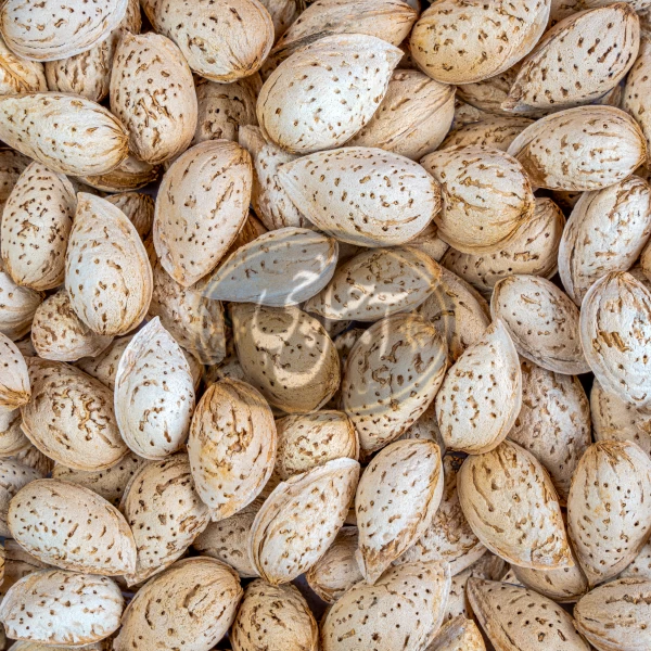 بادام منقا خام ایرانی درجه یک