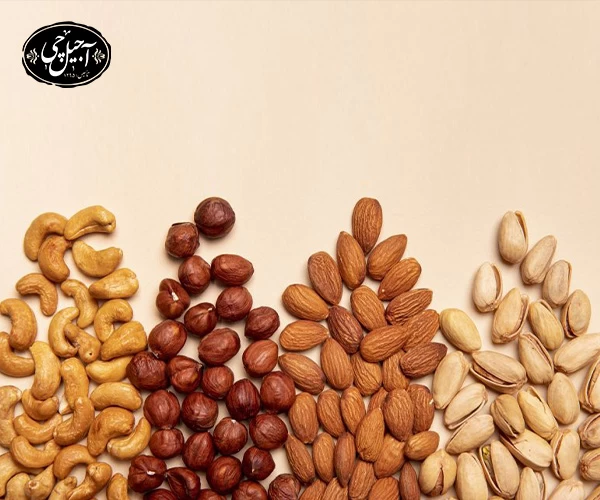 خرید آجیل شور با کیفیت تضمینی از فروشگاه آجیل چی