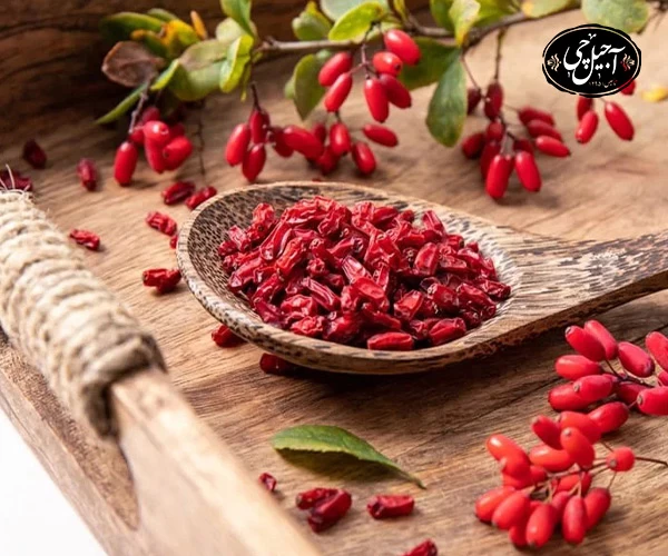 سفارش زرشک با کیفیت تضمینی در فروشگاه آجیل چی