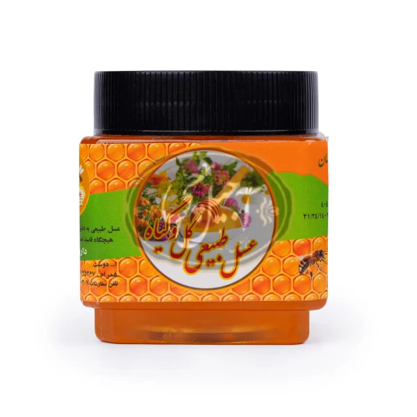 عسل گون 500گرمی آجیل چی