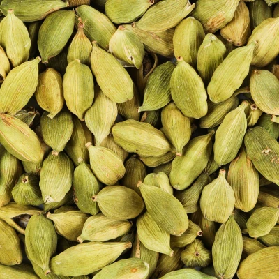 هل اکبر بنفش