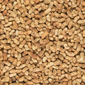 توت خشک مشهدی درجه یک