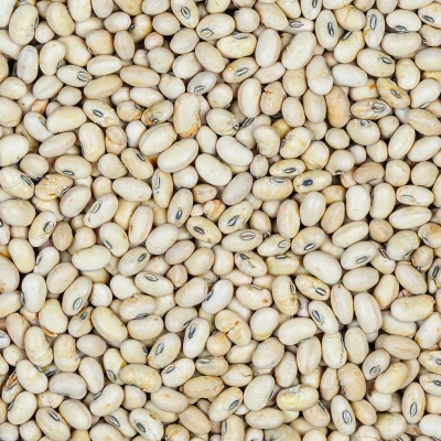 سویا آجیلی درجه یک