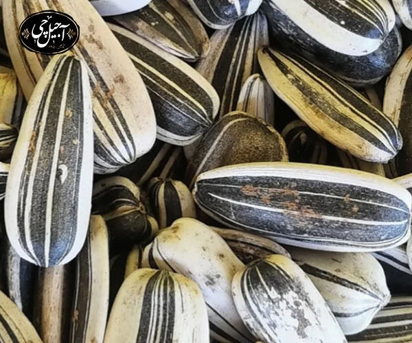 سیستم قیمت گذاری تخمه آفتابگردان دور سفید در آجیل سرای آجیل چی