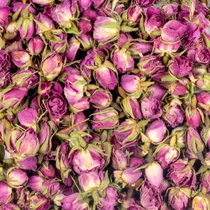 غنچه گل سرخ درجه یک