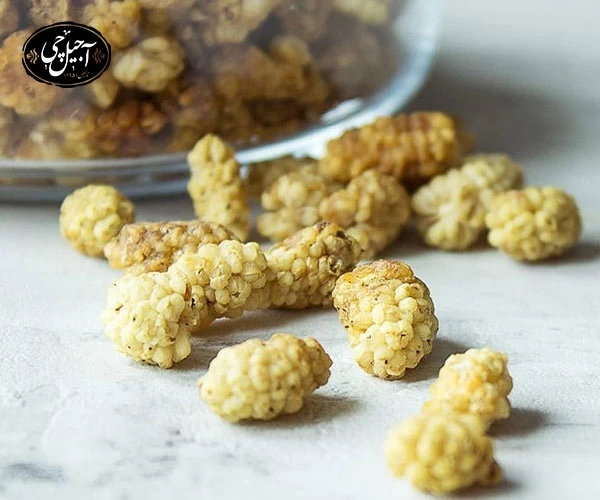 ارسال توت خشک در کمترین زمان