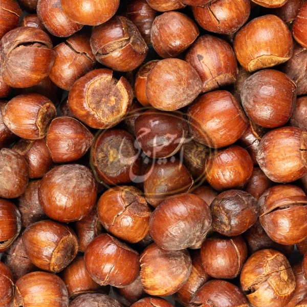 فندق نمکی ایرانی درجه یک