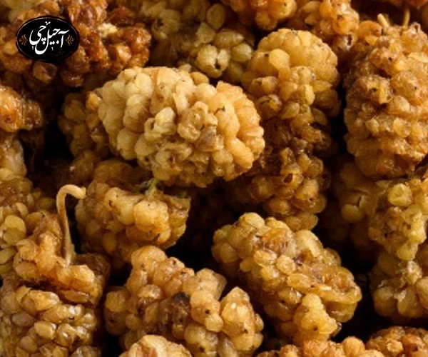 خرید توت خشک آبدار