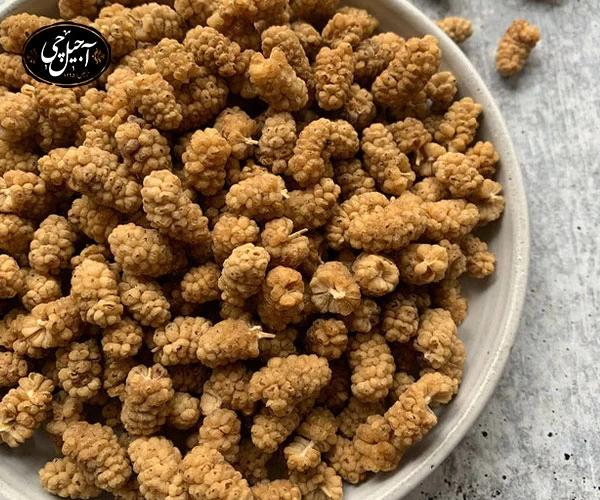 بسته‌بندی کادویی توت خشک درآجیل فروشی آجیل چی مشهد 