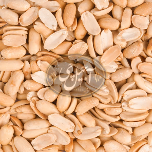 مغز بادام زمینی سفید آستانه درجه یک