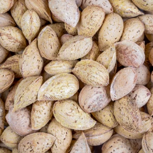 بادام منقا نمکی ایرانی درجه یک