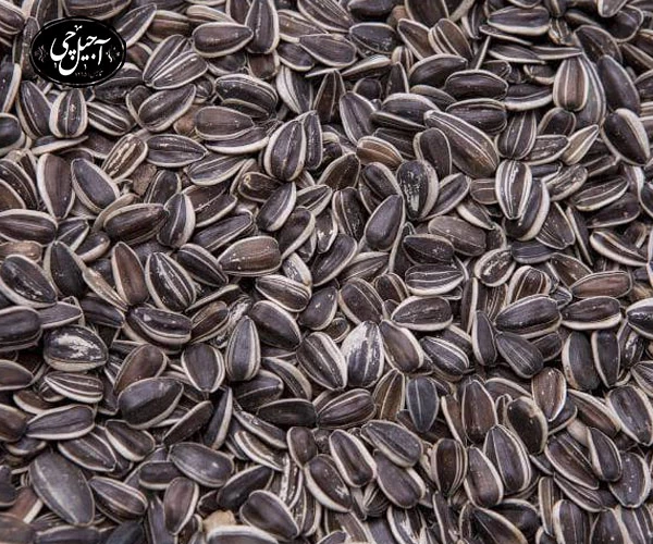 خرید اینترنتی تخمه آفتابگردان دورسفید از فروشگاه آجیل چی
