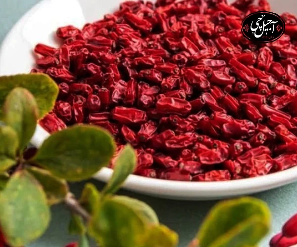 خرید انواع زرشک درجه یک از فروشگاه اینترنتی آجیل چی