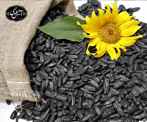 نحوه بسته بندی تخمه آفتابگردان شمشیری برای ارسال به شهرستان توسط آجیل چی