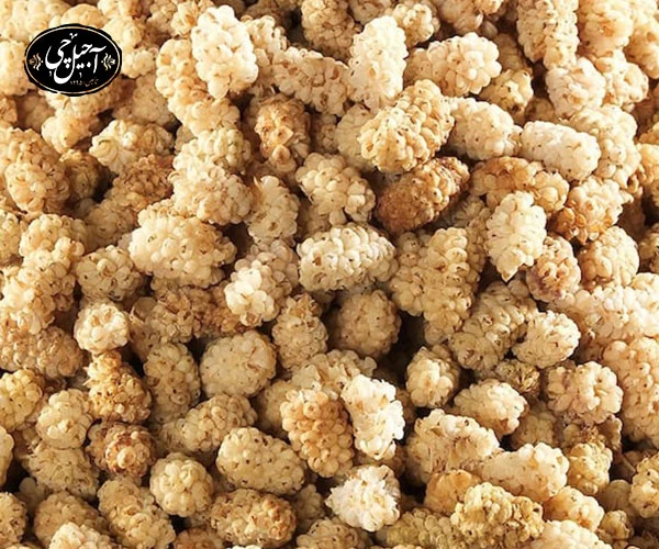 خرید توت خشک مشهدی