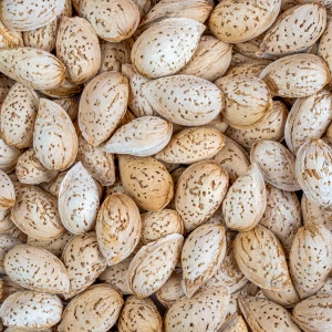بادام منقا خام ایرانی درجه یک