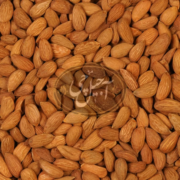 مغز بادام خام ایرانی ممتاز