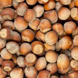 فندق خام ایرانی درجه یک