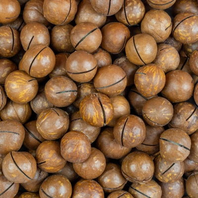 ماکادمیا لوکس
