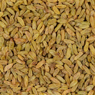 کشمش سبز دستچین