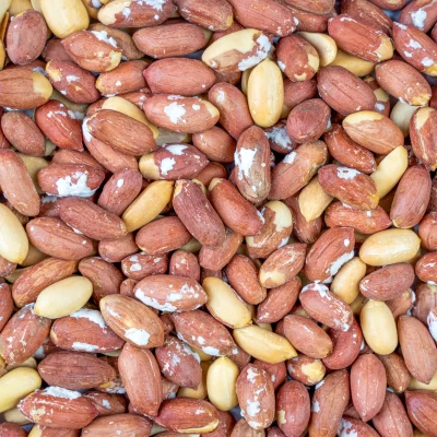 مغز بادام زمینی تنوری آستانه درجه یک