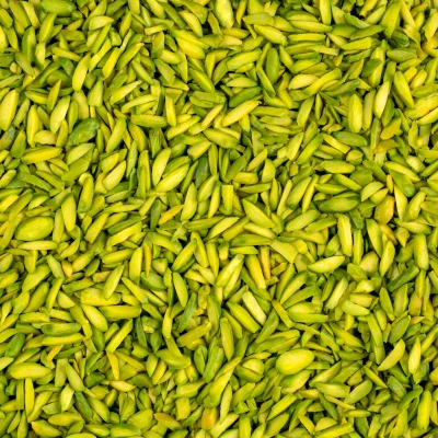 خلال پسته سبز قزوین درجه یک