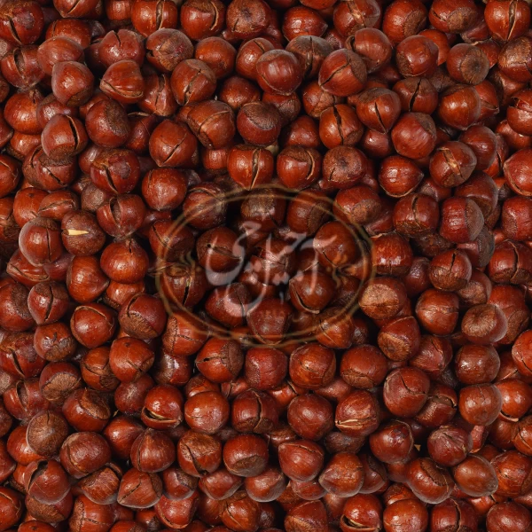 فندق نمکی درجه یک