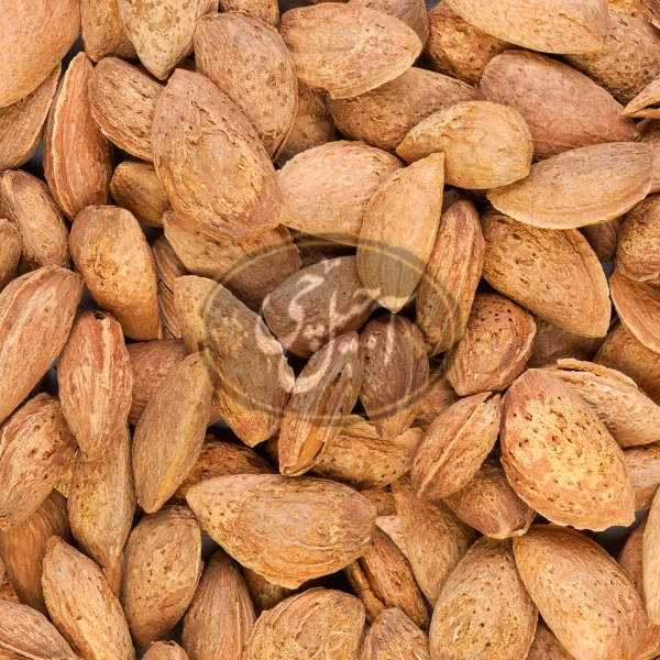 بادام کاغذی خام درجه یک