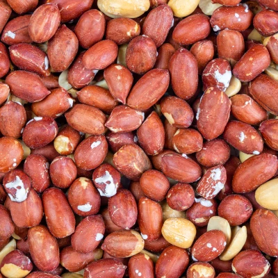 مغزبادام زمینی تنوری ممتاز